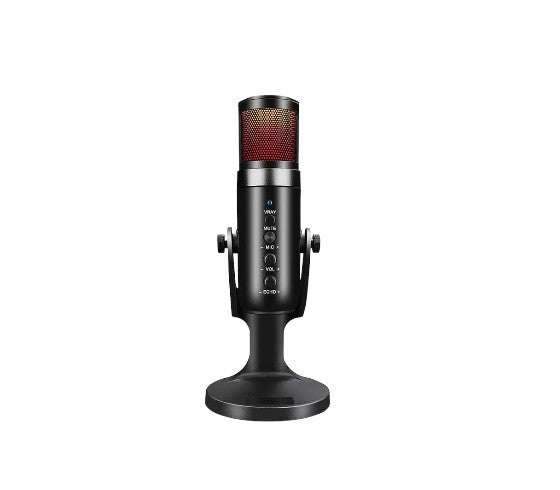 Havit GK59 Recording Live Microphone