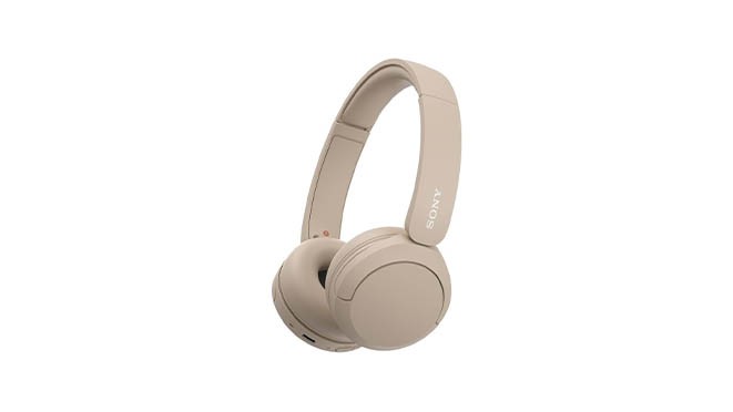 Sony WH-CH520 Headphones
